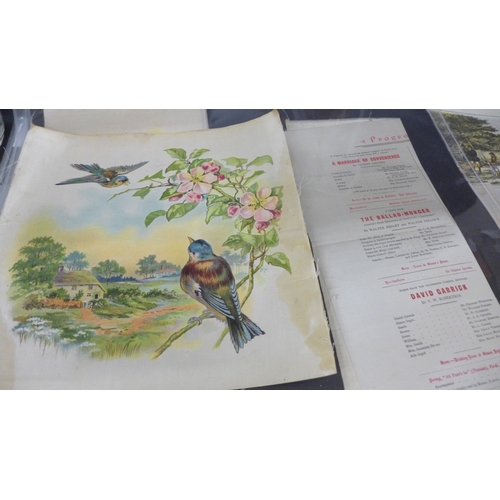 2018 - A large collection of ephemera and silks, including large Carreras, flags, 