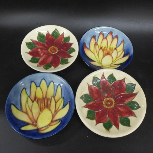 Lot 2046      