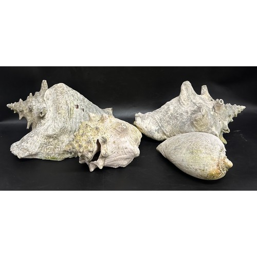 Lot 2097      
