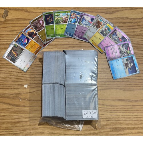 Lot 6204C     