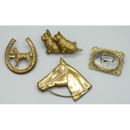 Lot 7051      