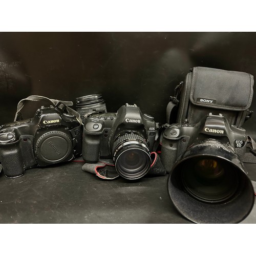 Lot 2307      