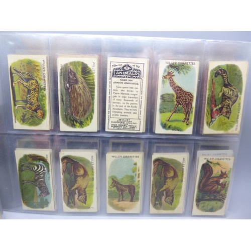 2262 - Natural History-themed cigarette cards; Will's (Australia and branded issues), Horses of Today, Ride... 