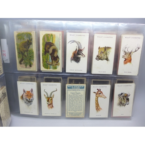 2262 - Natural History-themed cigarette cards; Will's (Australia and branded issues), Horses of Today, Ride... 