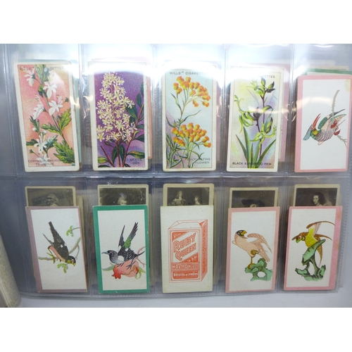 2262 - Natural History-themed cigarette cards; Will's (Australia and branded issues), Horses of Today, Ride... 
