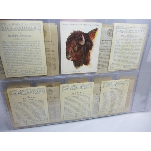 2262 - Natural History-themed cigarette cards; Will's (Australia and branded issues), Horses of Today, Ride... 