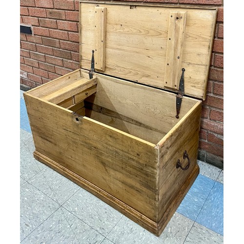 171 - A Victorian pine blanket box