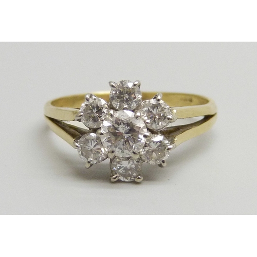 Lot 7013      