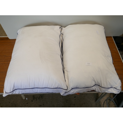 6141 - Two Emma Comfort Cooling pillows - (dust marks)