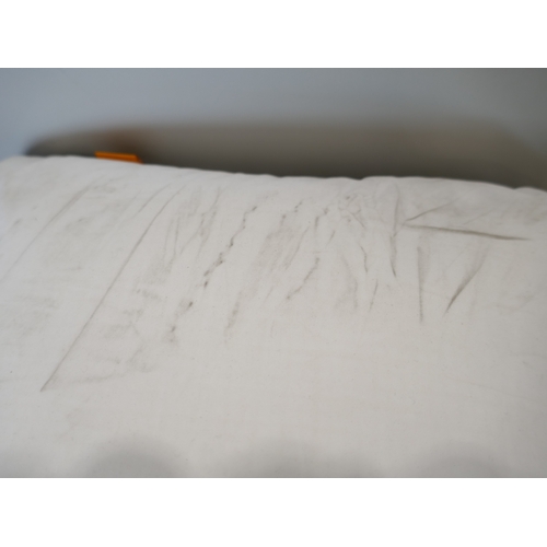 6141 - Two Emma Comfort Cooling pillows - (dust marks)