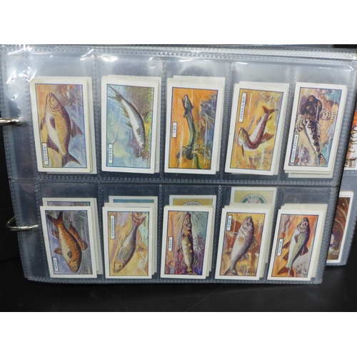 Lot 2004      