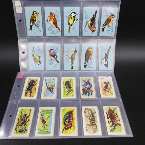 Lot 2036      
