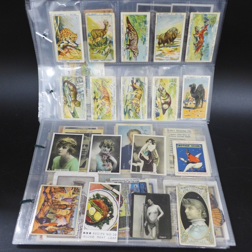 Lot 2040      