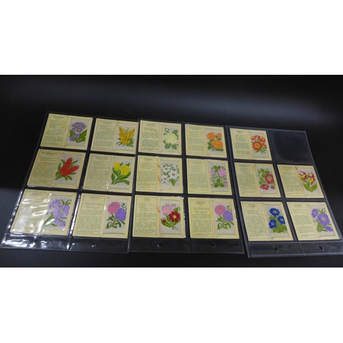 Lot 2050      