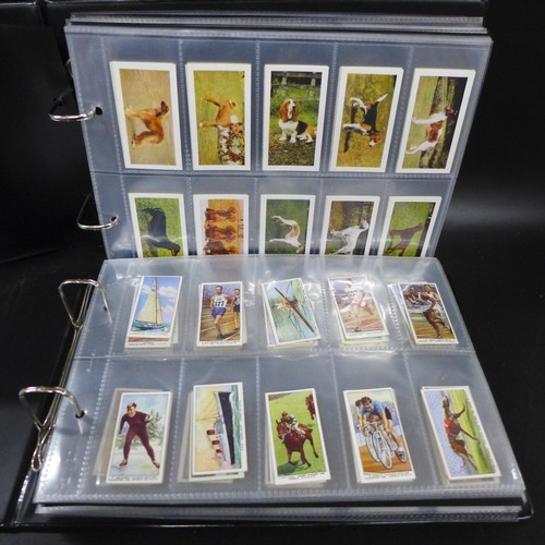 Lot 2001      