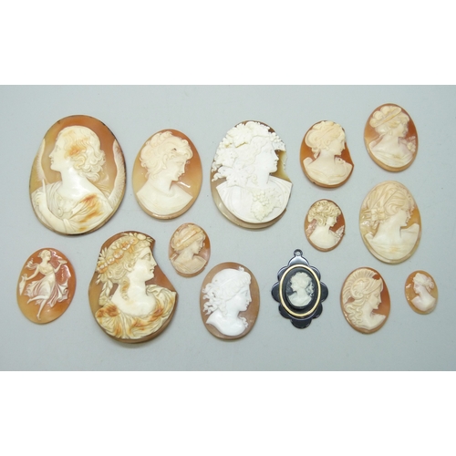 7101 - A collection of unmounted cameos