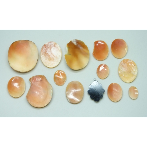 7101 - A collection of unmounted cameos