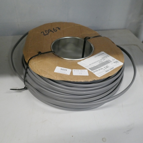 Lot 5029      