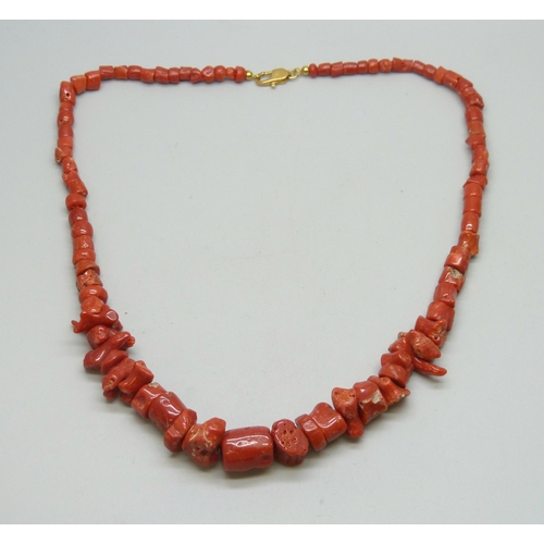 Lot 7031      