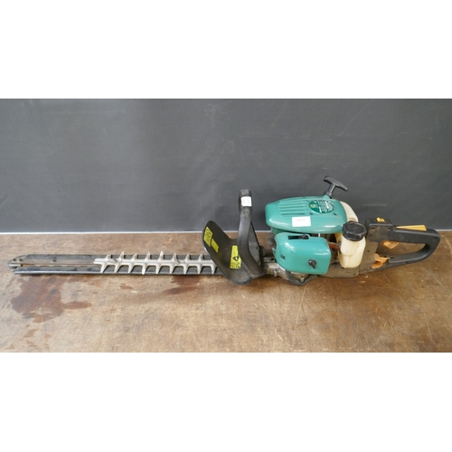 Lot 5035      
