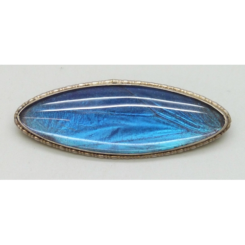 Lot 7032      