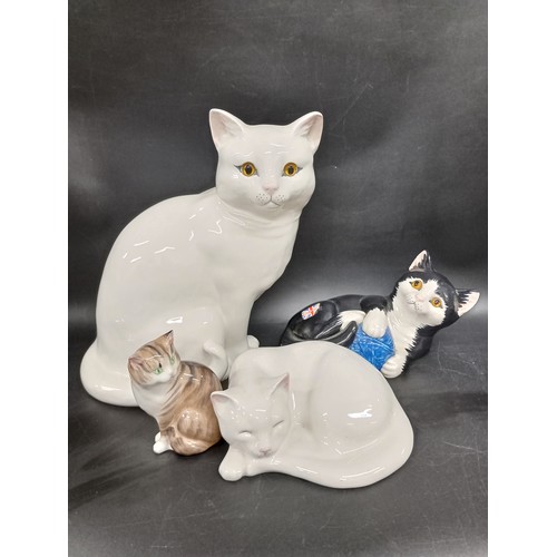 Lot 2037      