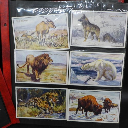Lot 2064      