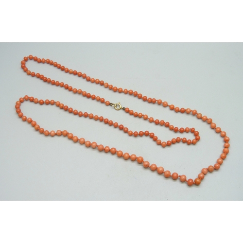 Lot 7039      