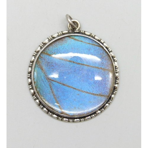 Lot 7023      