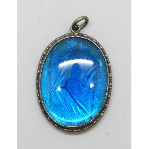 Lot 7031      