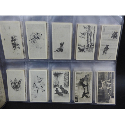 Lot 2032      
