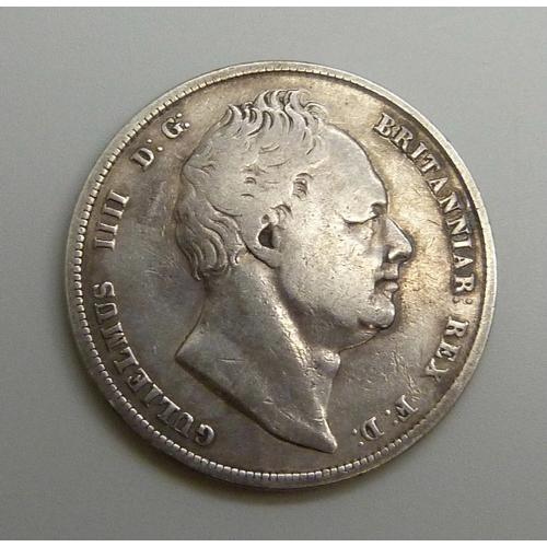 Lot 7019      