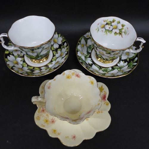 2024 - A late 19th Century Wileman & Co Foley china cup and saucer in Chrysanthemum pattern, together with ... 