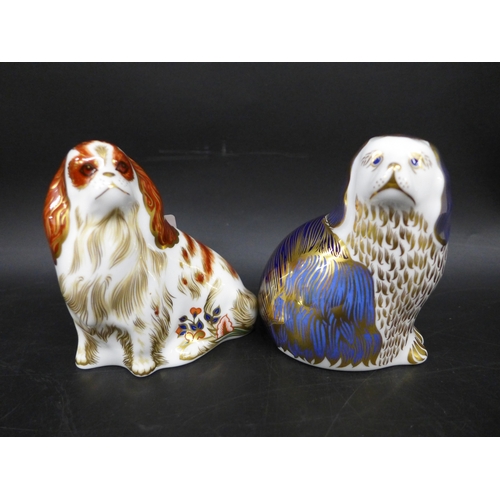 Lot 2040      