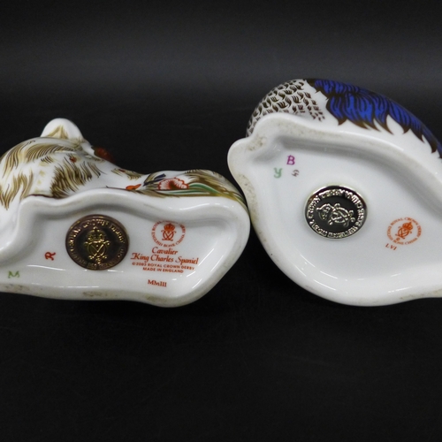 2040 - Two Royal Crown Derby paperweights including Cavalier King Charles Spaniel, both with stoppers, 9.5c... 