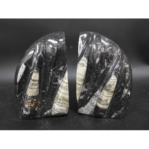 2047 - Geonite and Orthocone fossil bookends, 12cm h