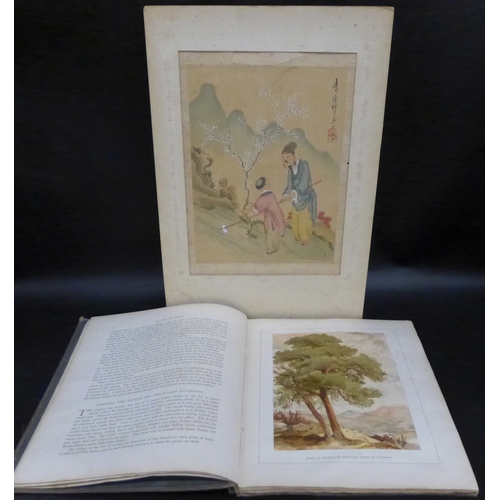 2054A - Studies of Trees in pencil and watercolours by J. Needham, Blackie & Sons Publishers, together with ... 