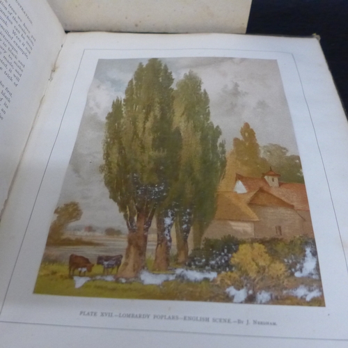 2054A - Studies of Trees in pencil and watercolours by J. Needham, Blackie & Sons Publishers, together with ... 