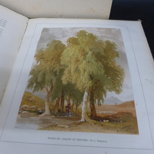 2054A - Studies of Trees in pencil and watercolours by J. Needham, Blackie & Sons Publishers, together with ... 