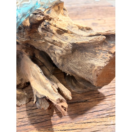 3036 - A large molten glass jar melted over a natural teak root stand