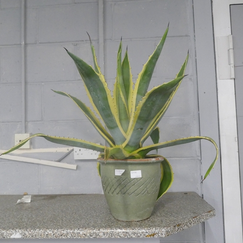 Lot 5055A     