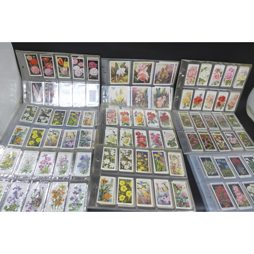 Lot 2034      