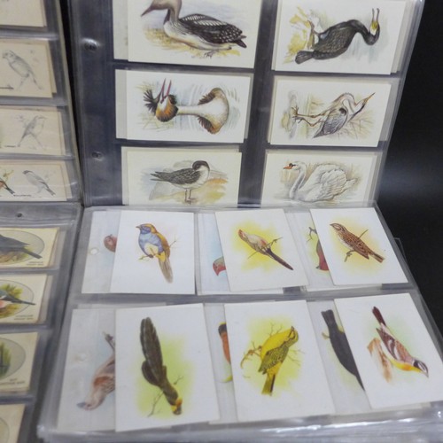 2038 - Collection of cigarette card sets to include; three sets of Godfrey Phillips 'Feathered Friends' all... 