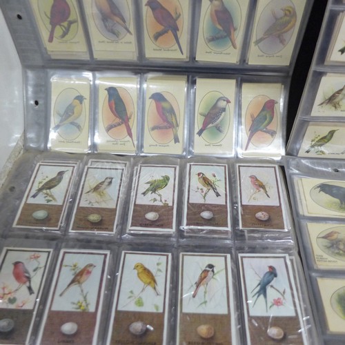 2038 - Collection of cigarette card sets to include; three sets of Godfrey Phillips 'Feathered Friends' all... 