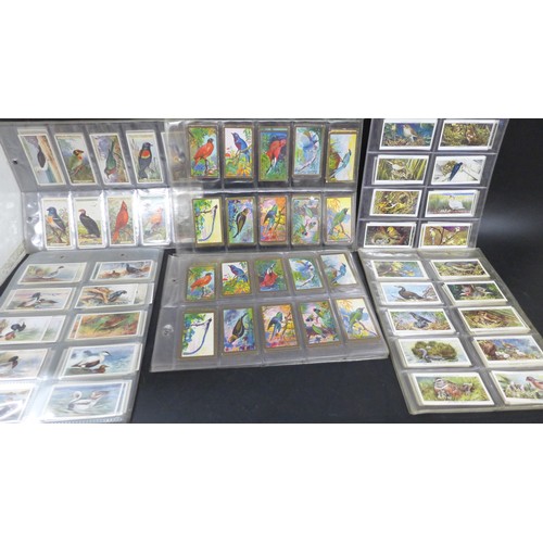 2038 - Collection of cigarette card sets to include; three sets of Godfrey Phillips 'Feathered Friends' all... 
