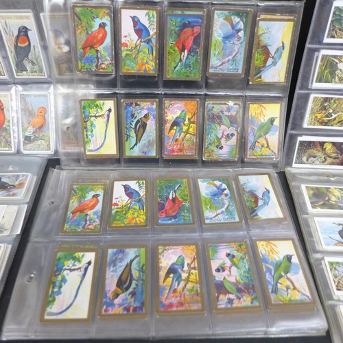 2038 - Collection of cigarette card sets to include; three sets of Godfrey Phillips 'Feathered Friends' all... 