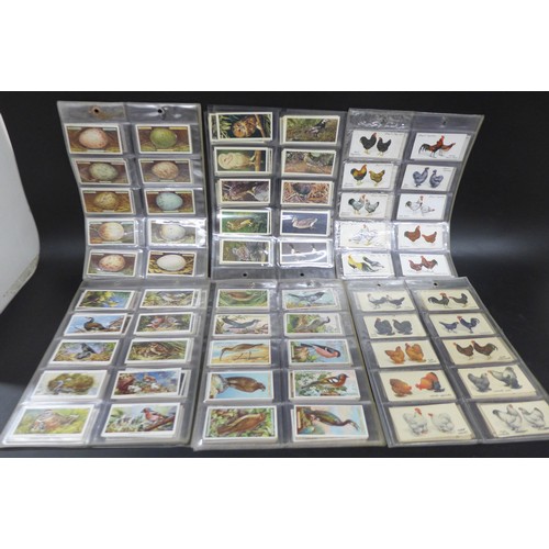 2038 - Collection of cigarette card sets to include; three sets of Godfrey Phillips 'Feathered Friends' all... 
