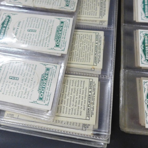 2038 - Collection of cigarette card sets to include; three sets of Godfrey Phillips 'Feathered Friends' all... 