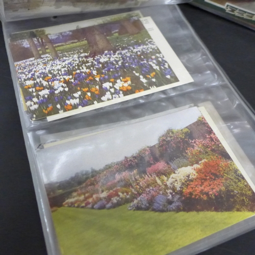 2041 - Collection of ephemera to include postcards, advertising ephemera to include Vinolia, Vim, Maypole S... 