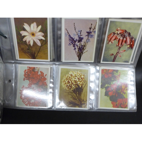 2046 - Collection of assorted cigarette card sets to include; Churchman Howlers series of 16 large cards, J... 